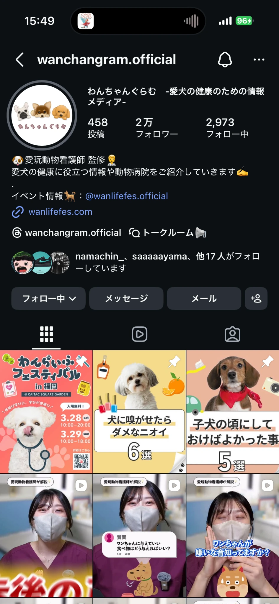 わんちゃんぐらむのInstagramに並ぶ愛犬の健康情報